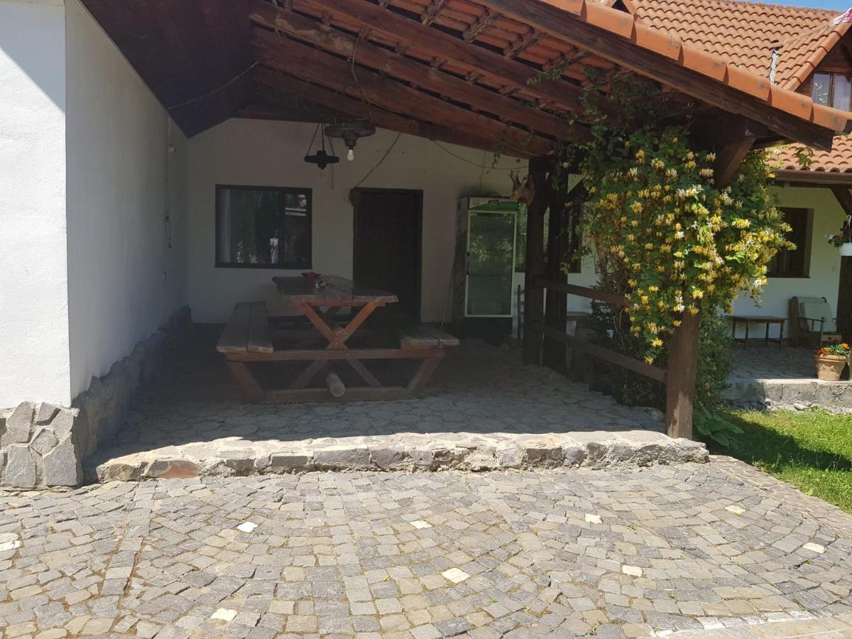 Vila Sura Razoare Sighişoara Dış mekan fotoğraf