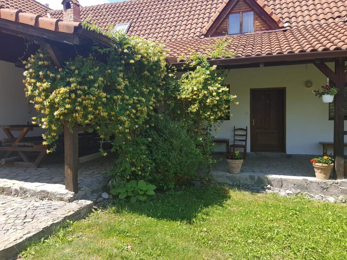 Vila Sura Razoare Sighişoara Dış mekan fotoğraf