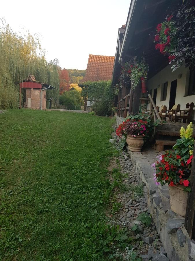 Vila Sura Razoare Sighişoara Dış mekan fotoğraf