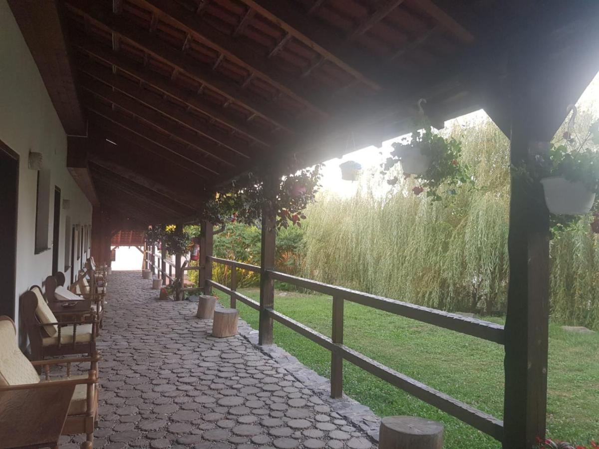 Vila Sura Razoare Sighişoara Dış mekan fotoğraf