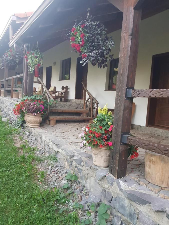 Vila Sura Razoare Sighişoara Dış mekan fotoğraf