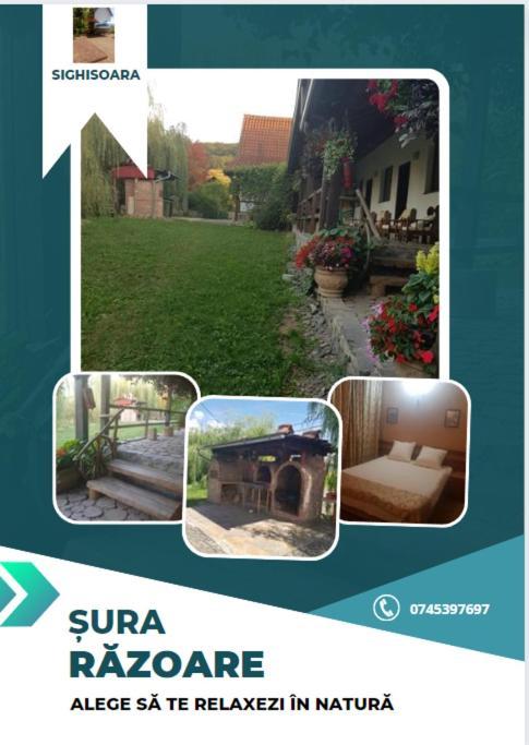 Vila Sura Razoare Sighişoara Dış mekan fotoğraf